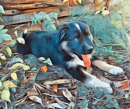 Item #47237781251135923353742950703176233702215495695736078562832556070865125507073 Media