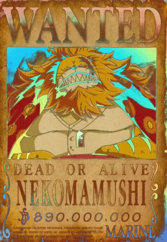 One piece wanted NFT collection - Collection | OpenSea