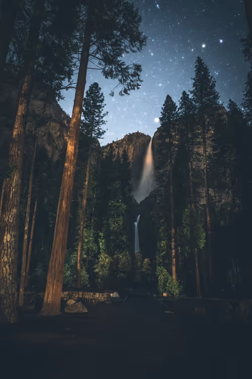 Item #20202411620515441646035687604409961373861406401235365865587019828215511253022 Media