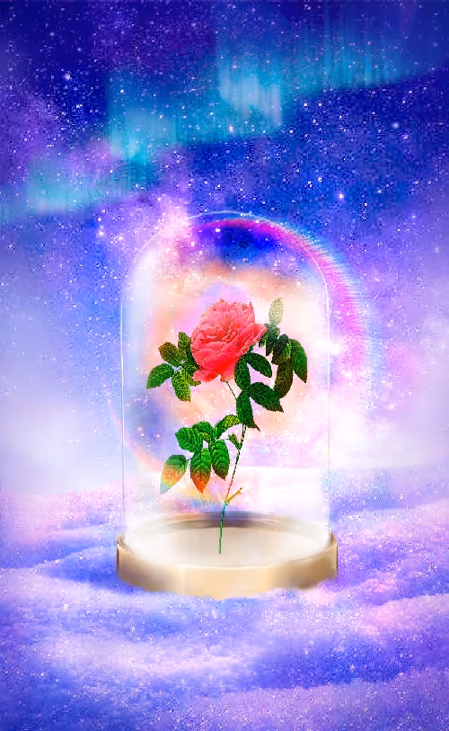 Item #59646891752723899406110743616803786993980577716002236556631688880798262362113 Media