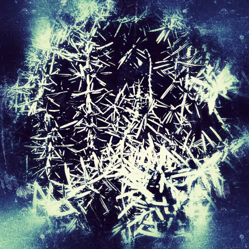 Item #49188710718413262446425824596964854565025683222927729162195606667444338294785 Media