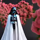 Darth Wedding 8