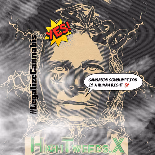 HighTweeds pfp 1.0