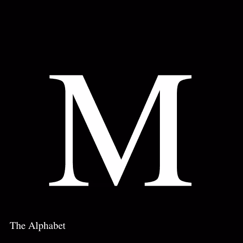 Item #15667918565991512040027370799027687282016869594247132407079641284887172874250 Media