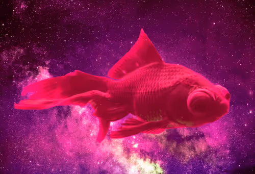 64831065688873909434537665941137318682836571431209528516298654538469713379333