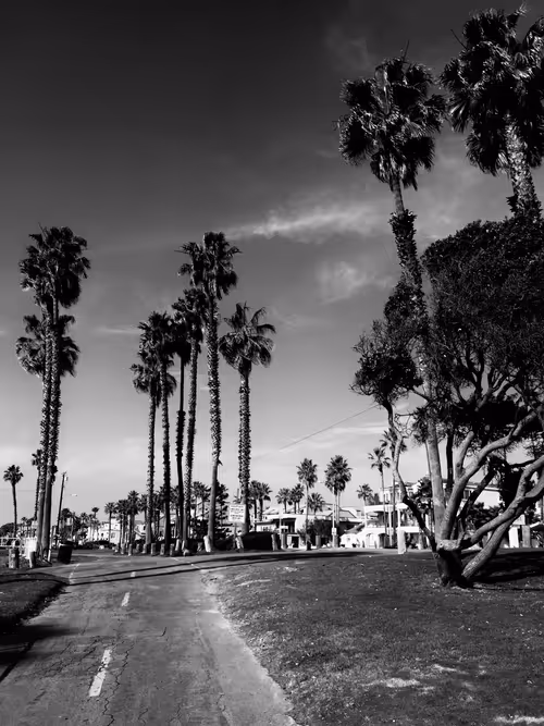 Item #85194694313482311992552065383091349733229460472009518407910609747539593789441 Media