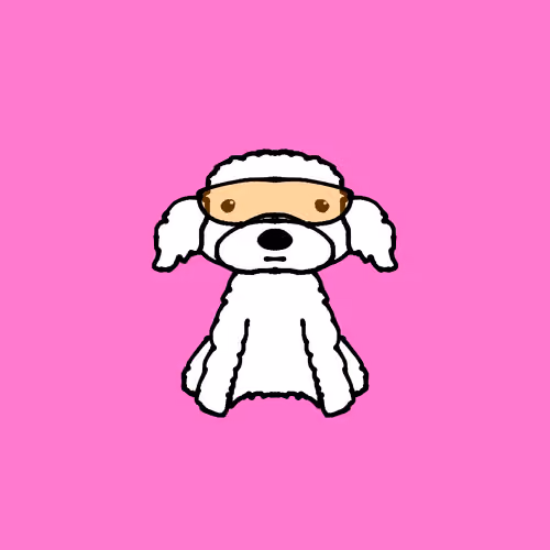 Peachy Poodle #801