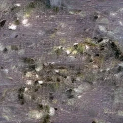 51505744279772251808310948570193708993242265706659681932624859500129994932225