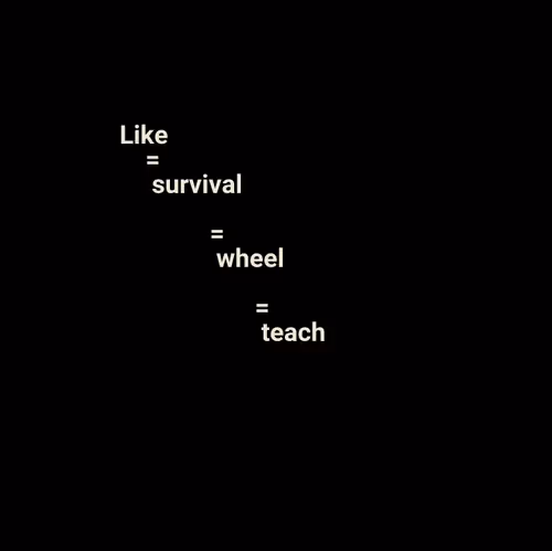 Item #49543477181538774006565318501575223363909481434662938991456587980999980220417 Media