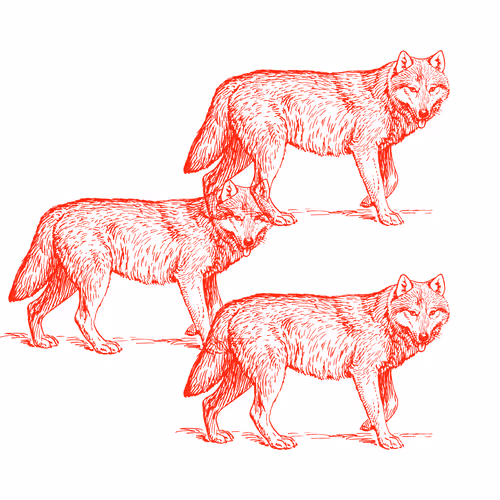 Item #25506781774429673479118459037672467037102609755826934466658808683147720392705 Media