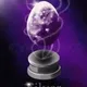 13157524088803448918878740948501954691283611122982993432888960014232812781569