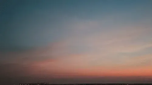 Item #54545336870129037164307986437789858251348704753246412266065009463551900778497 Media