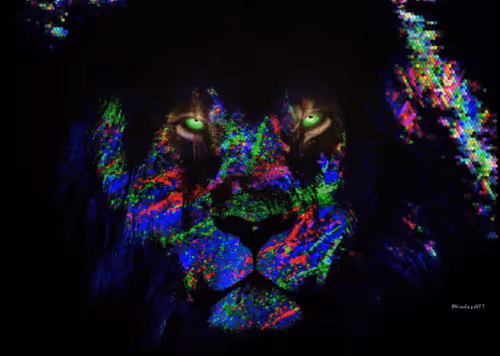 Item #72995201234096631503112503221462823398193720334652621921690015931420872015873 Media