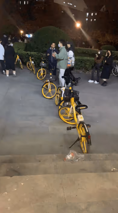 Item #93461176747039088234827245090120793672772540830640058808582334049348447371265 Media