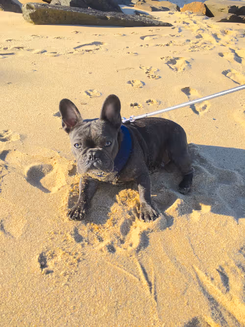 Item #99031261785432219130552668818269695456905868997165113515571762462187742822401 Media