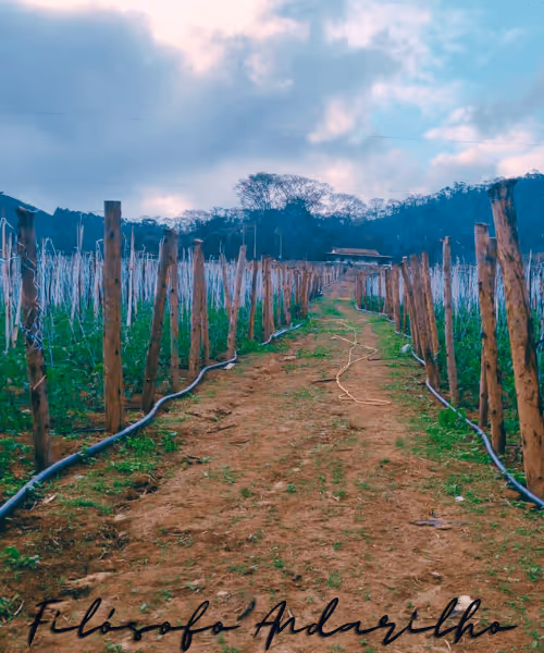 Item #42165497215799268651933513800091680414625417379712449060150831251717238030337 Media