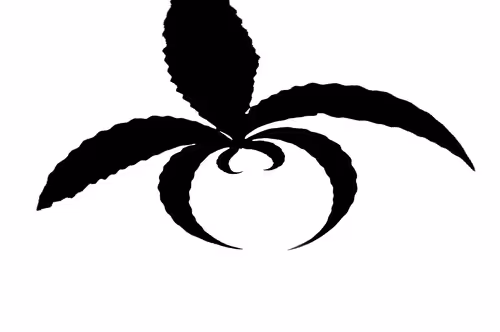 Item #50908449100313806167317955880222183135388850677868571372109492012771377676289 Media