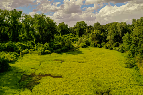 Item #1864235862486587087410937482126233260088053295403624046406936180185301516289 Media