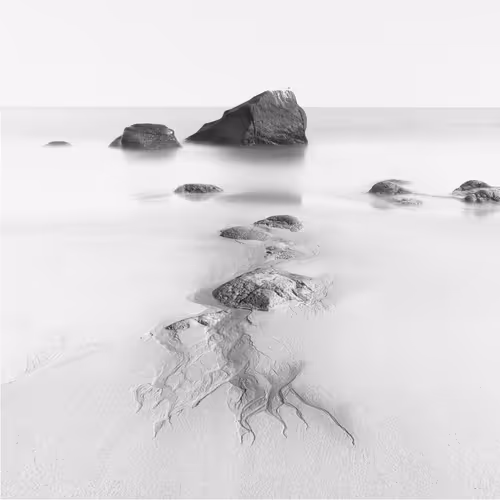 Item #70830499516803690530292841418532272152455647226891505709154461708757420212225 Media