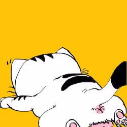 Cat #2