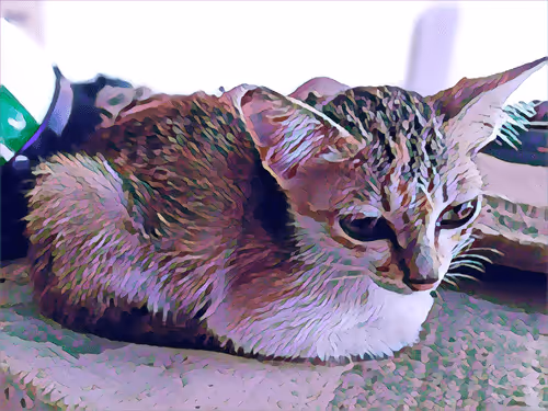 Item #74122138759525378795667626270866148487737655975912799548892275347950078525441 Media