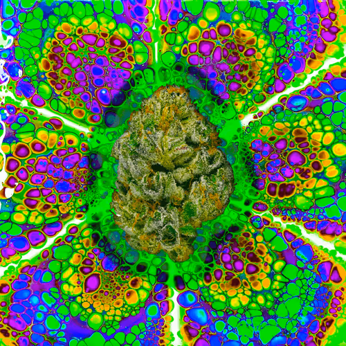 Item #13955282856406335165414100891374623718709547313428947888299033986843136753674 Media