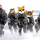 15742573272448526463441952052059824326594231334435299239999498498111587745793