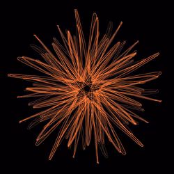 85050421982695483123867570513677519131003796958833827543775578537951091490817