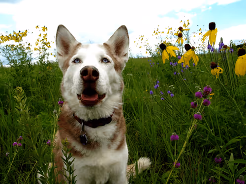 Untitled Collection #68896789