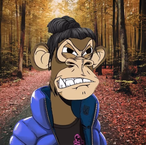 Item #109066165228494868984123658993937284509999328721461692091369406513854302650378 Media