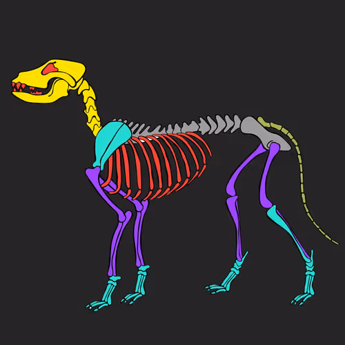 Item #66115251428437251400949335005857765940906863007353817121707627048431964389377 Media