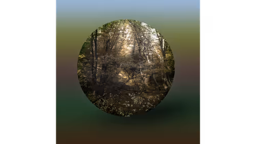 Item #108011531238030277319797552781278289377881865795939671666305033623210240770049 Media