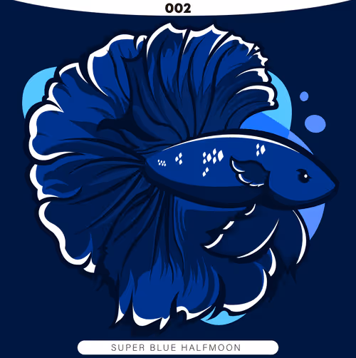 Item #71915282176282174012632358448723633474544225318645324977784202284502601433089 Media