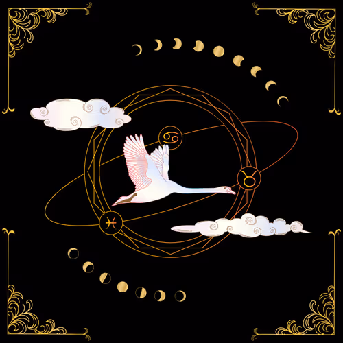 Item #9186887323471115990064256838151810712662596372602321320824786577602564325377 Media