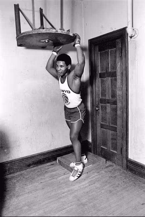 Item #88493408231144634441270782571212037989425315116978142452997953604198821003265 Media