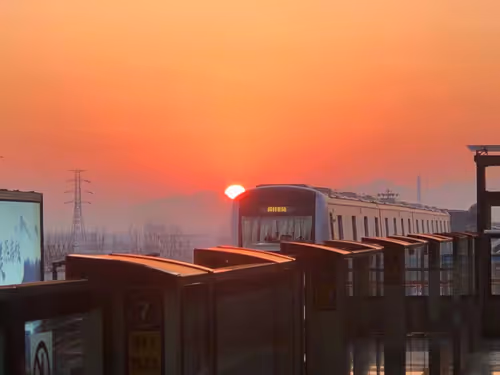 Untitled Collection #41791751