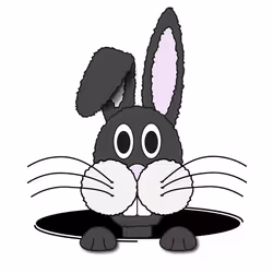 106955806220045469640257788923136081340431694817406233784103341575640094605313