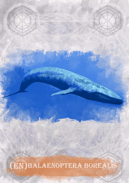 Item #108829080069432666427413762901192148077907568328307962474054884588136802811911 Media