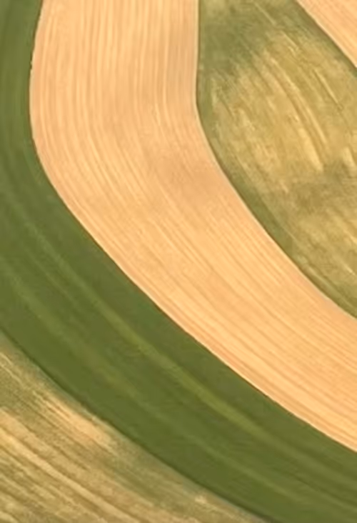 Item #5877388594710505456325712509569170131061927261962223196158836667222474096641 Media