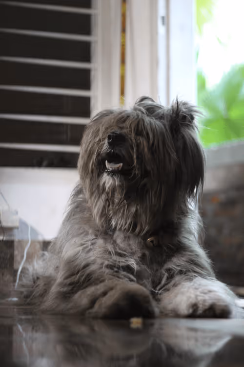 Item #67017016678430859338270992568456767398714856939663576781244227213444079681537 Media