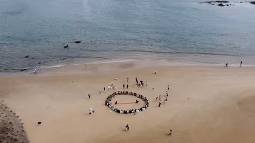 Untitled Collection #260480176