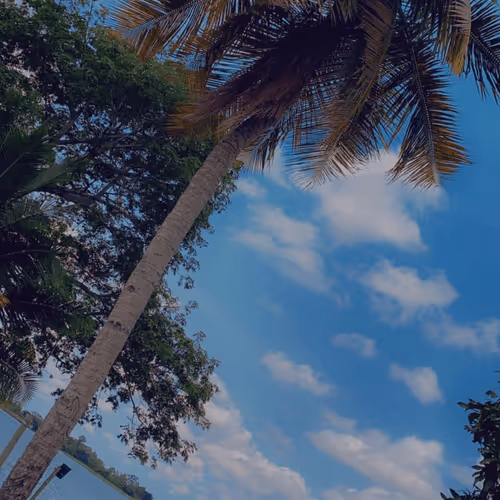 Item #53824836538918648026680043126042186080742309087165823150174572759469365657601 Media