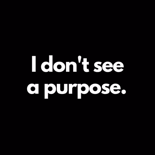 Item #18818505588100206200663976520240755176608072343190825371883992606010054279169 Media