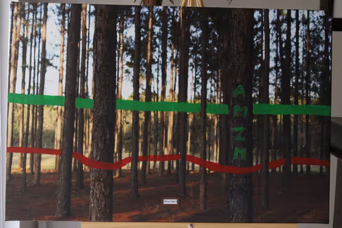 23712955375445781403554449597734991184459726037539563642804380966284343377921