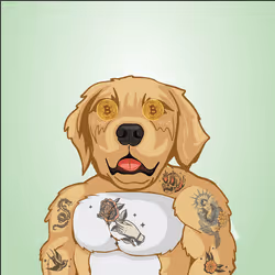 91655410557744893771831586830451060185116832686887291820253905612241631182849