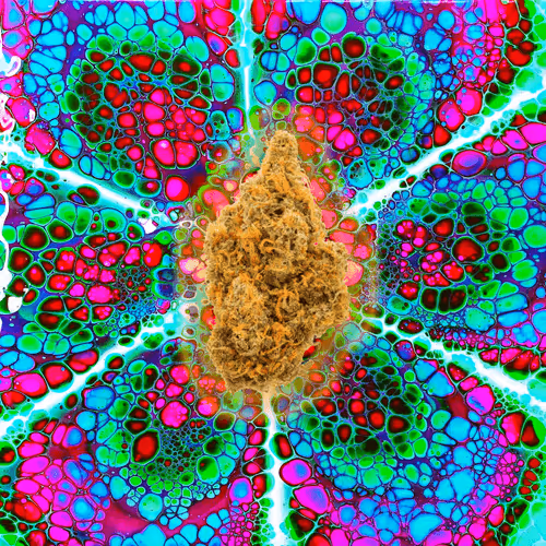 13955282856406335165414100891374623718709547313428947888299034003335811170305