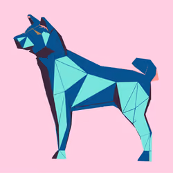 Shiba #9