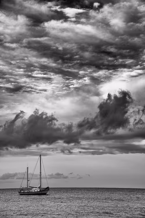 Item #16169064393399629467859942900905405490006492366557123064973208570228256014337 Media