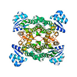 59334117117279908919326586416284354943781775533468435051884907544356545626113