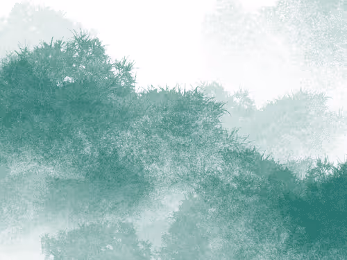 Item #108648420360214736937690321880281304067553396152004957868563263568448646545409 Media